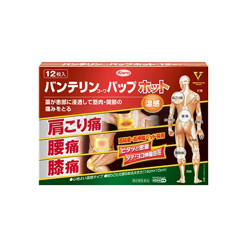 반테린 코와 파프 핫 12매입