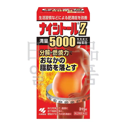 나이시토루 Z 315정