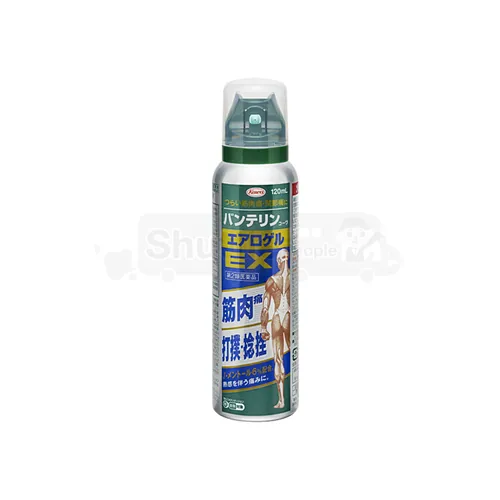 반테린 코와 에어로겔EX 120mL