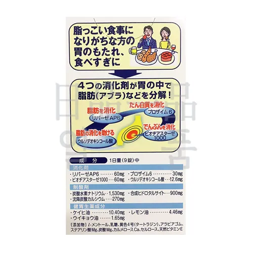 오타이산 A 120정 2
