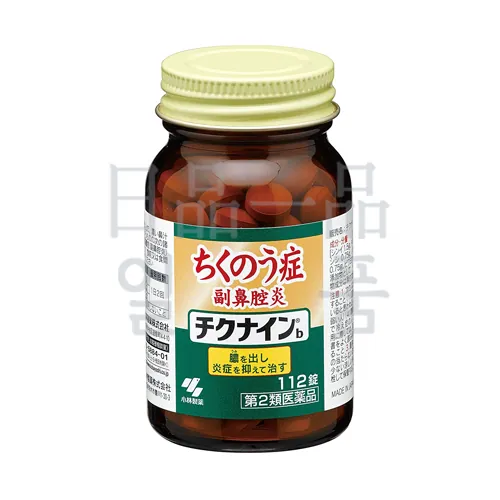 치쿠나인 B 112정 3
